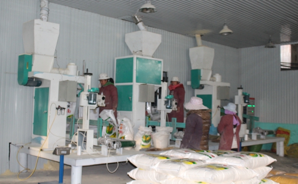 日產(chǎn)30噸玉米加工設(shè)備多少錢(qián)?點(diǎn)擊在線(xiàn)咨詢(xún)，即刻獲取優(yōu)惠報(bào)價(jià)